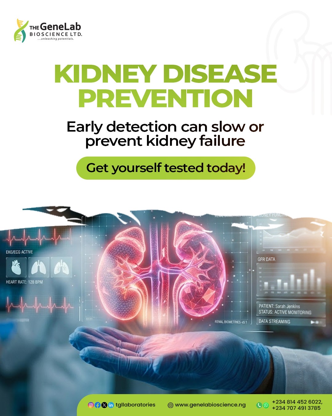 Kidney Health Check- Kidney function test.